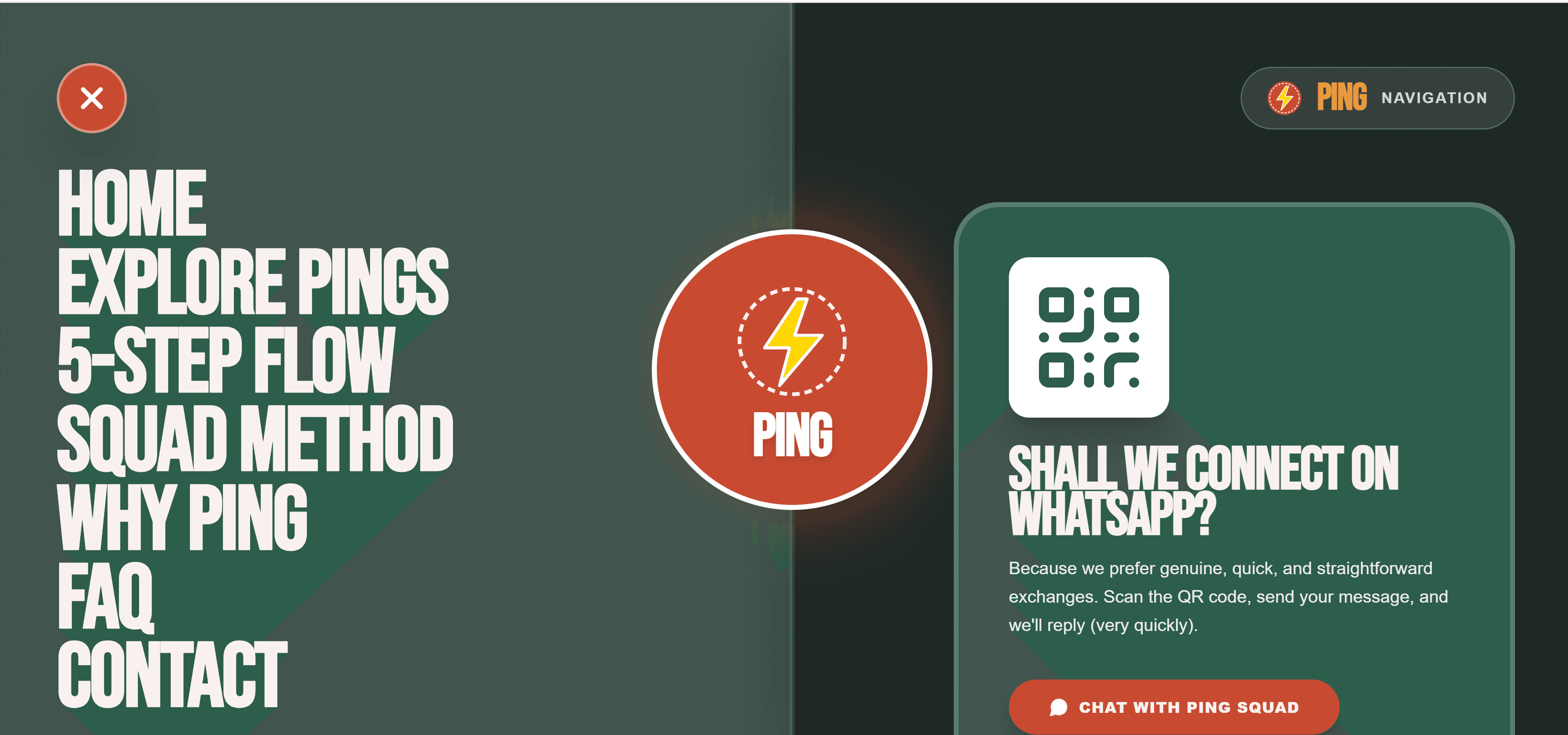 PING Visual Feature 15