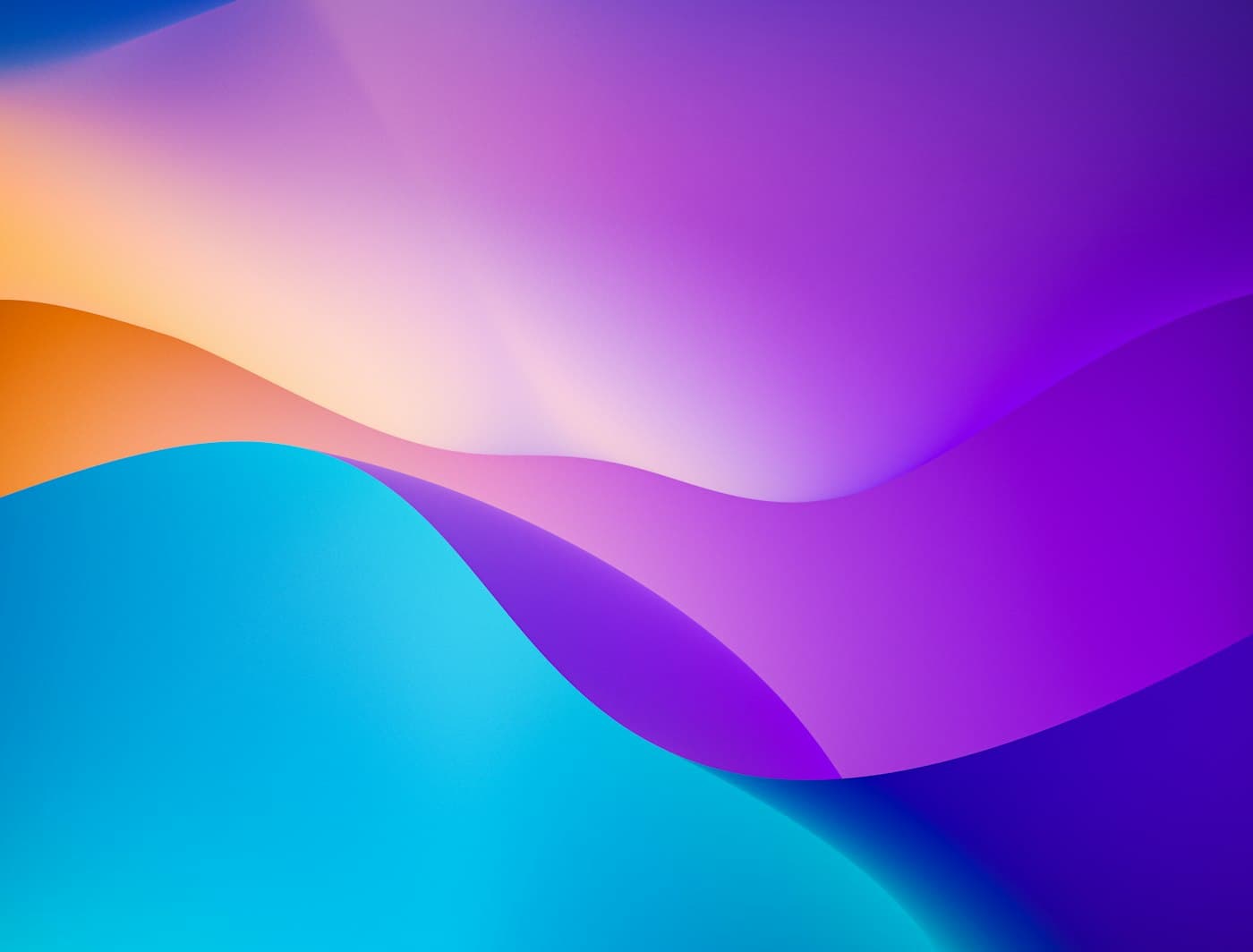 LOOMIE Kinetic Design System & Spatial Refinement